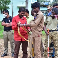 Mr Vijaya kumar handling a non poisonous snake